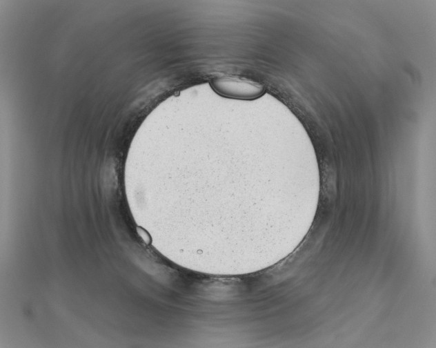 X0000110920128200907301610