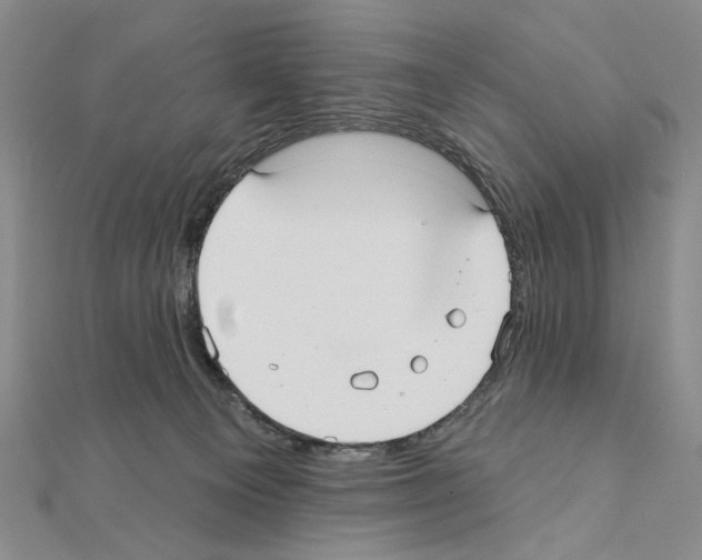 X0000110920129200907301610