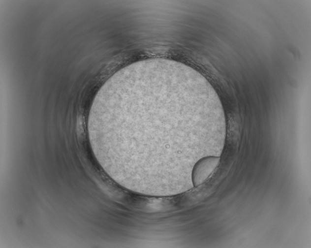 X0000110920130200907301610