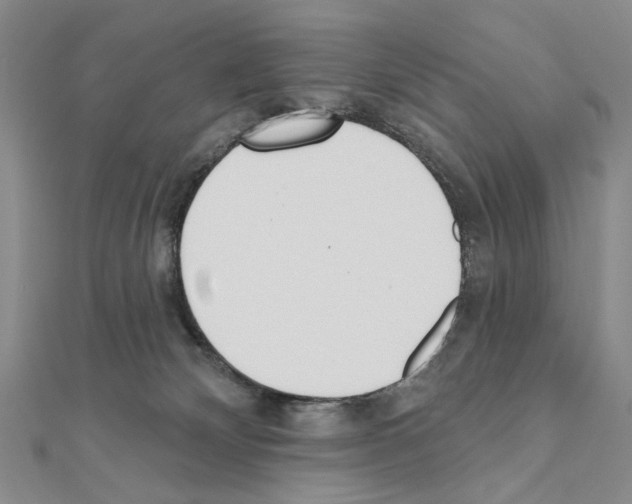 X0000110920132200907301610