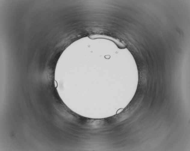 X0000110920135200907301610