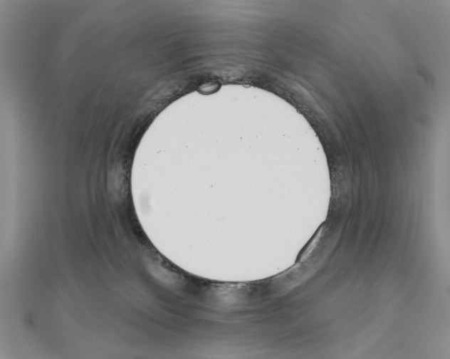 X0000110920136200907301610