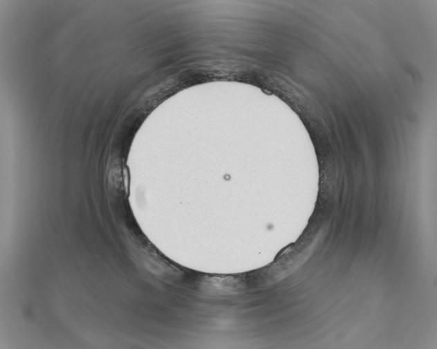 X0000110920137200907301610