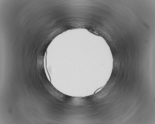 X0000110920141200907301610