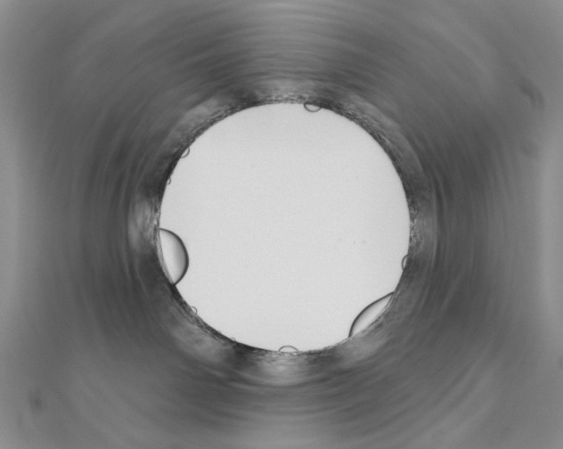 X0000110920142200907301610