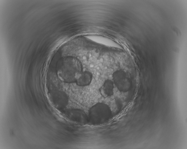 X0000110920145200907301610