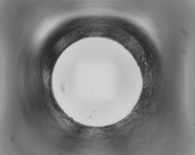 X0000110920146200907301610