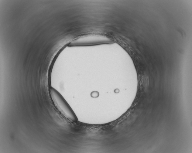 X0000110920148200907301610