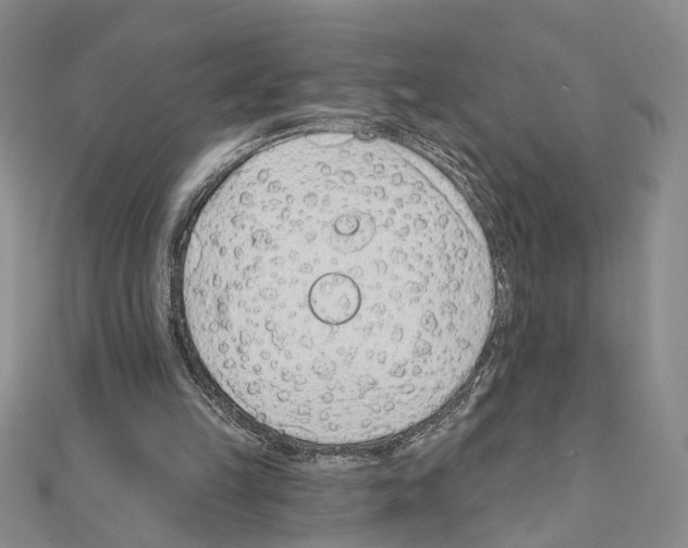 X0000110920149200907301610