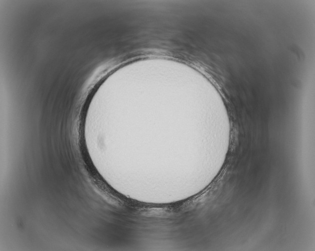 X0000110920151200907301610