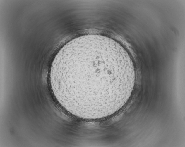 X0000110920153200907301610