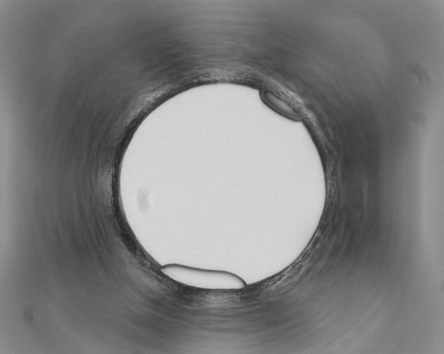 X0000110920154200907301610