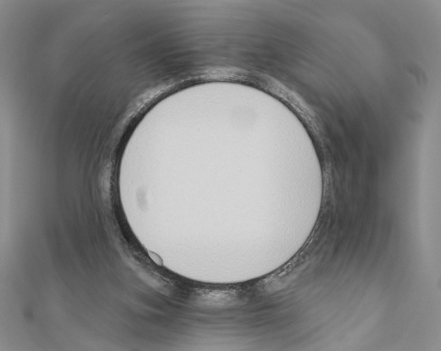 X0000110920155200907301610