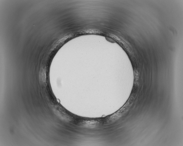 X0000110920158200907301610