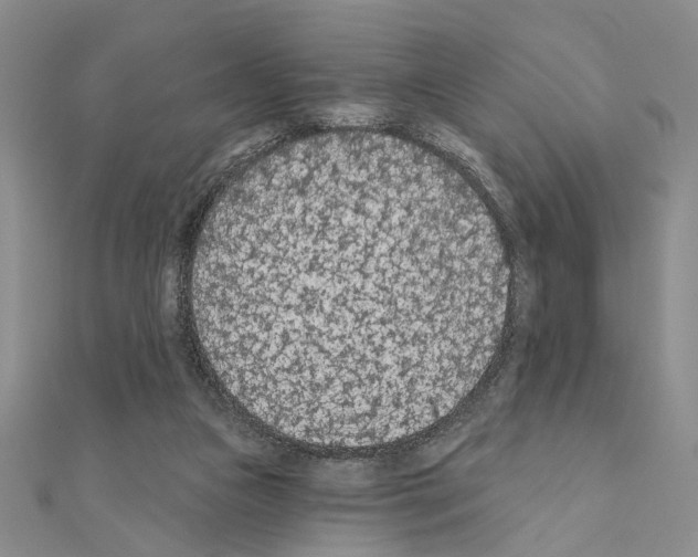 X0000110920161200907301610