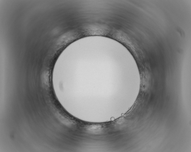 X0000110920162200907301610