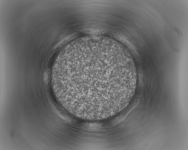 X0000110920165200907301610