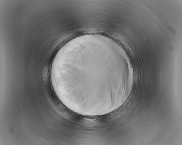 X0000110920167200907301610