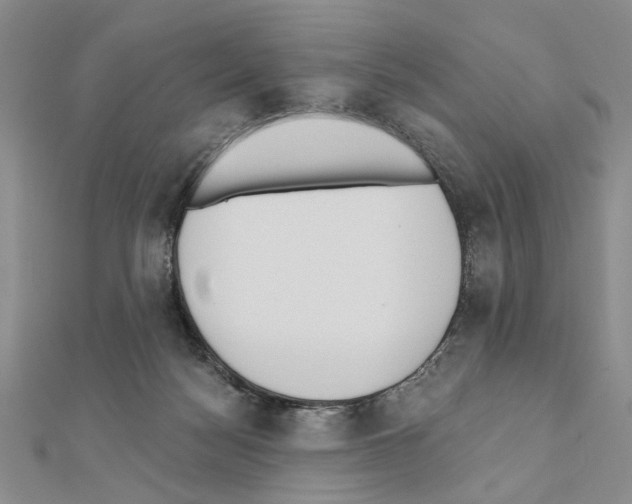 X0000110920172200907301610