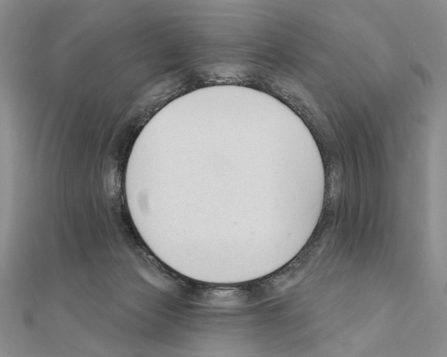 X0000110920173200907301610