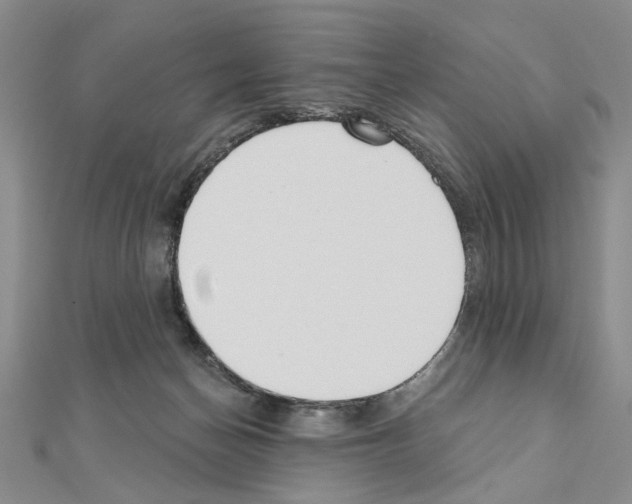 X0000110920174200907301610