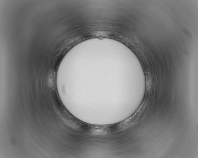 X0000110920175200907301610