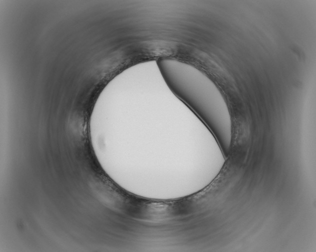 X0000110920176200907301610
