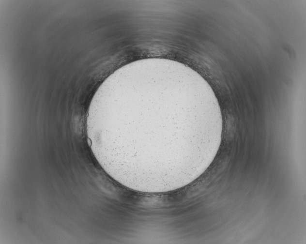 X0000110920177200907301610