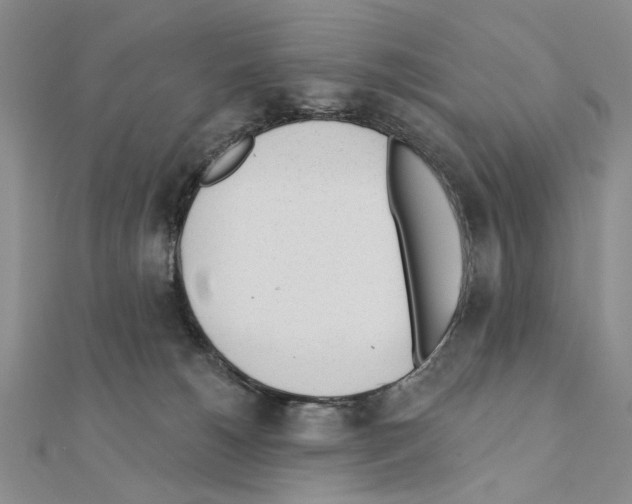 X0000110920180200907301610
