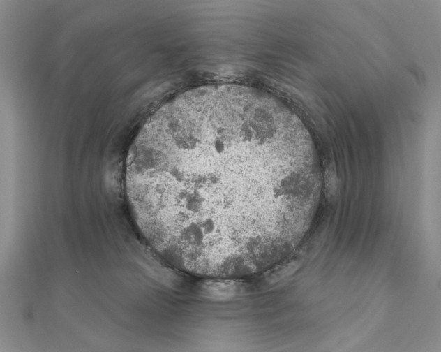 X0000110920181200907301610