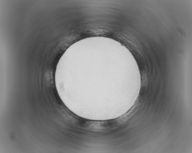 X0000110920182200907301610