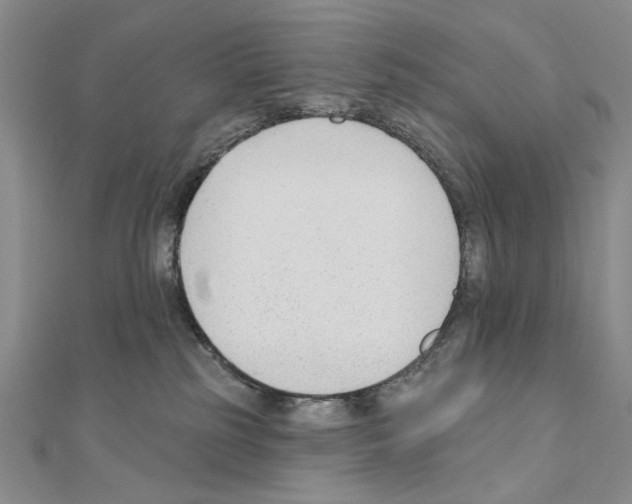 X0000110920185200907301610