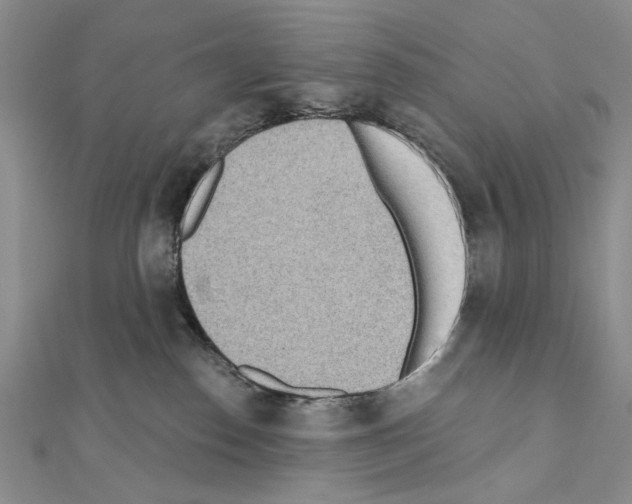 X0000110920186200907301610