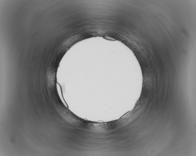 X0000110920188200907301610