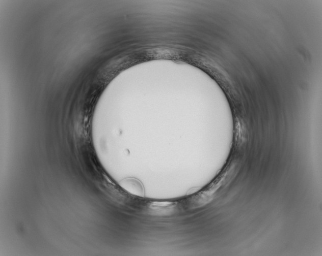 X0000110920189200907301610