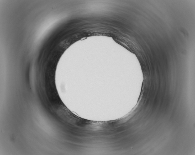 X0000110920190200907301610