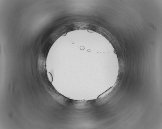 X0000110920191200907301610