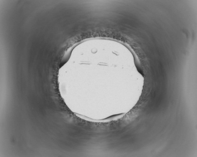 X0000110920192200907301610