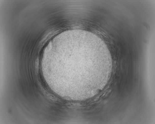 X0000110920194200907301610