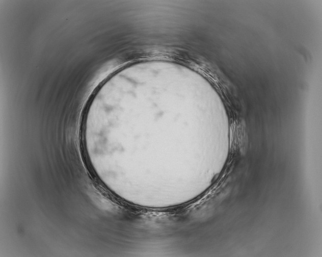 X0000110920195200907301610