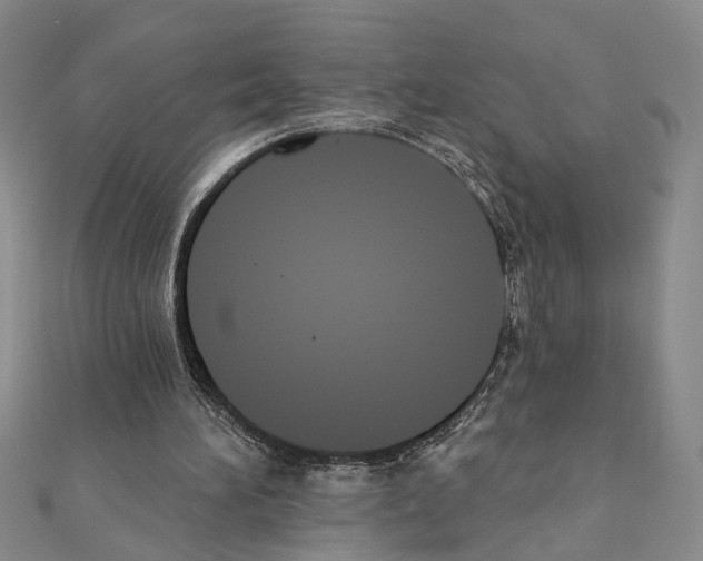 X0000110920196200907301610