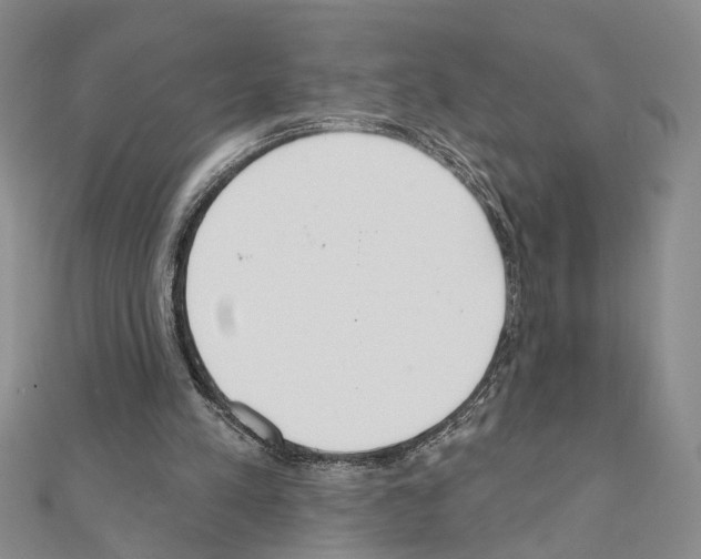 X0000110920197200907301610