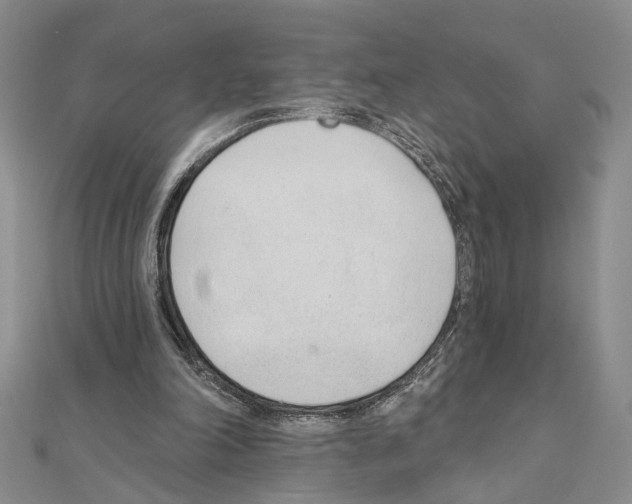 X0000110920198200907301610