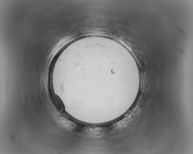 X0000110920199200907301610