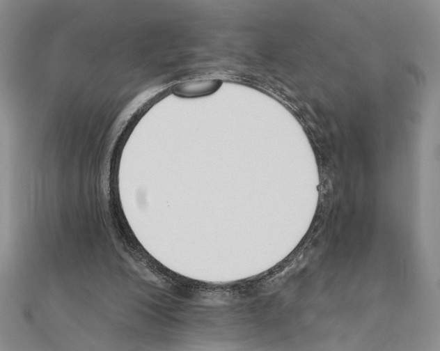X0000110920200200907301610