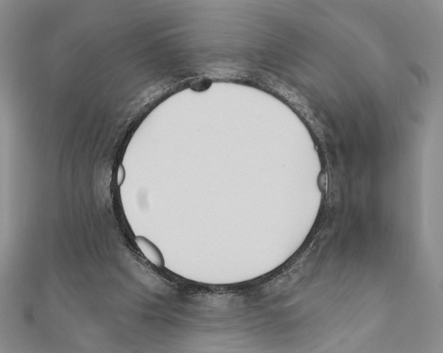 X0000110920201200907301609