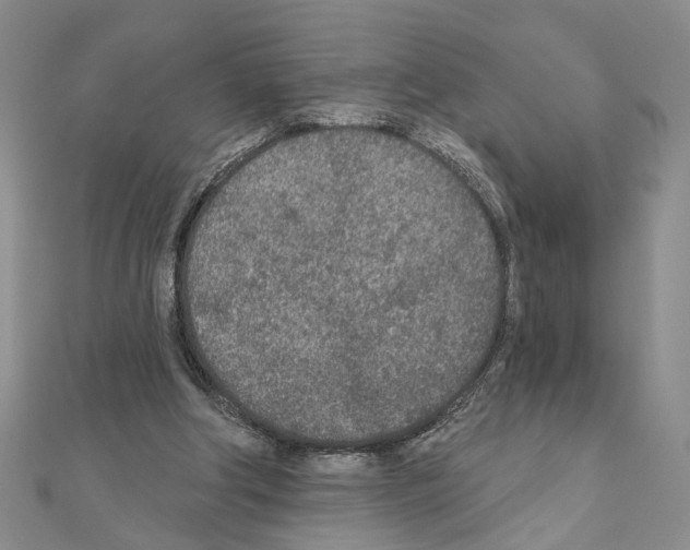 X0000110920202200907301609