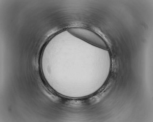 X0000110920203200907301609