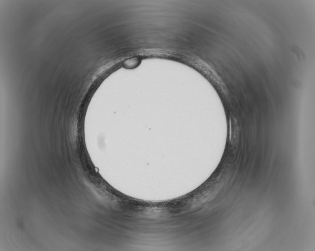 X0000110920204200907301609