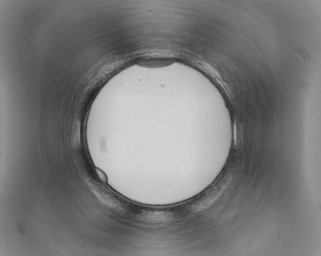 X0000110920205200907301609